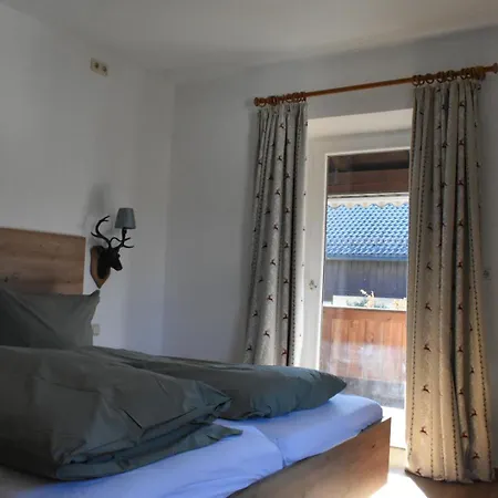 Petri Apartamento *